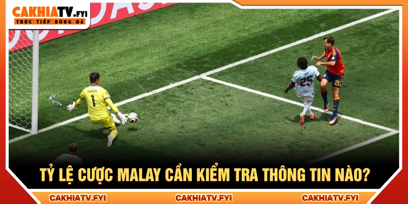 Cách tính tỷ lệ malay rất đơn giản