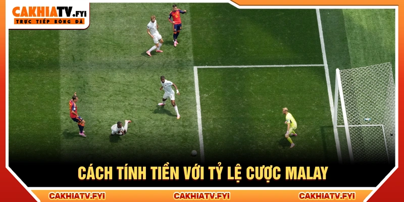 Hướng dẫn cách tính tỷ lệ qua từng trường hợp