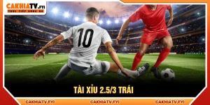 Tài xỉu 2.5/3 trái